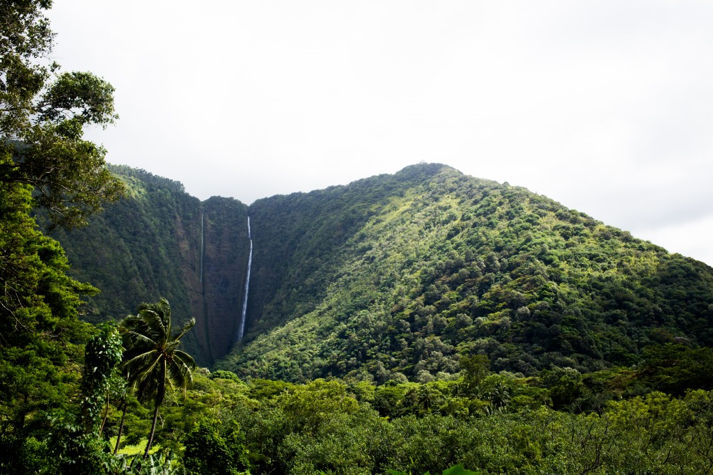 cheapest hawaiian island to visit